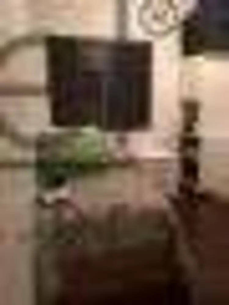 Apartamento, 4 quartos, 115 m² - Foto 4