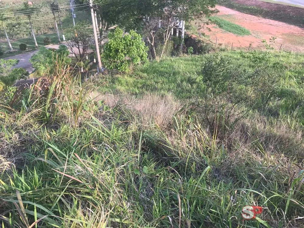 Terreno à venda com 1 quarto, 1000m² - Foto 3