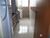 Apartamento, 2 quartos, 52 m² - Foto 2