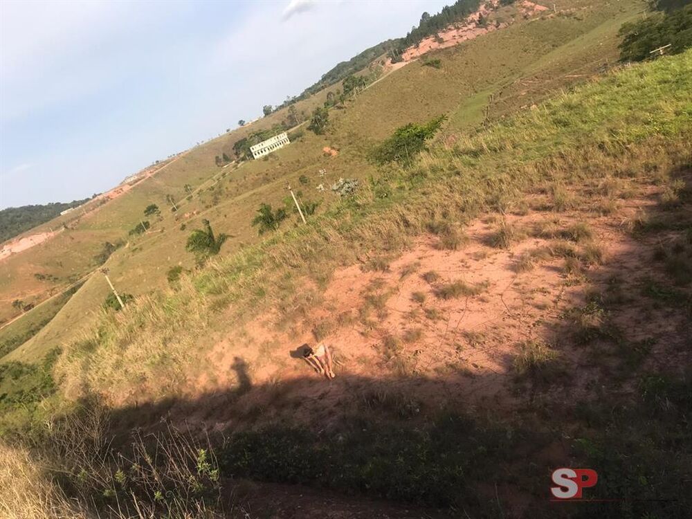 Terreno à venda com 1 quarto, 1000m² - Foto 4