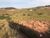 Terreno, 120 m² - Foto 3