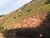 Terreno, 120 m² - Foto 4