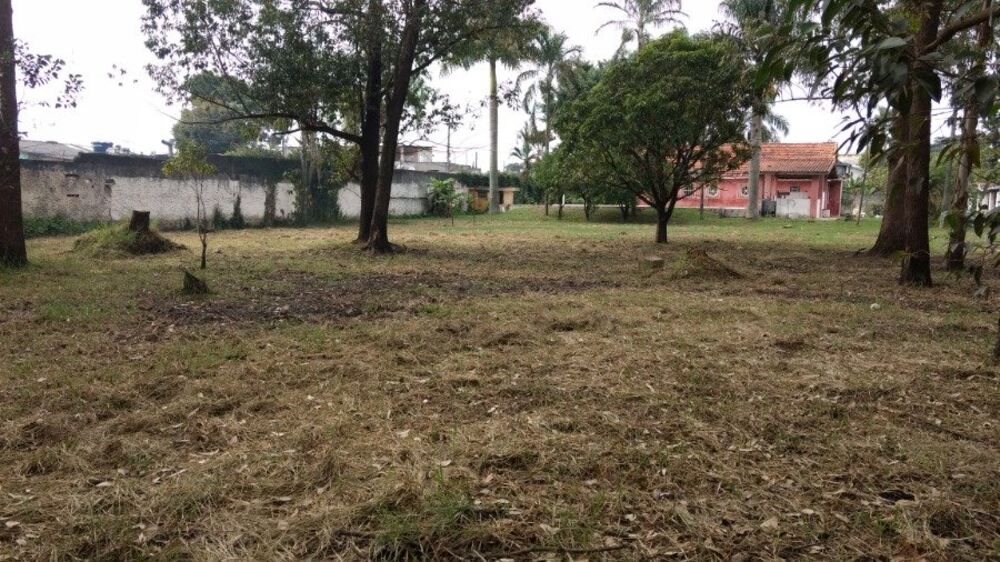 Terreno à venda com 1 quarto, 6000m² - Foto 7