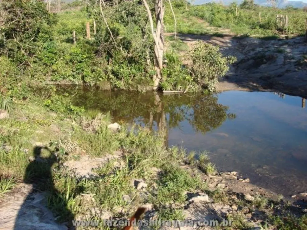 Fazenda, 120 m² - Foto 4