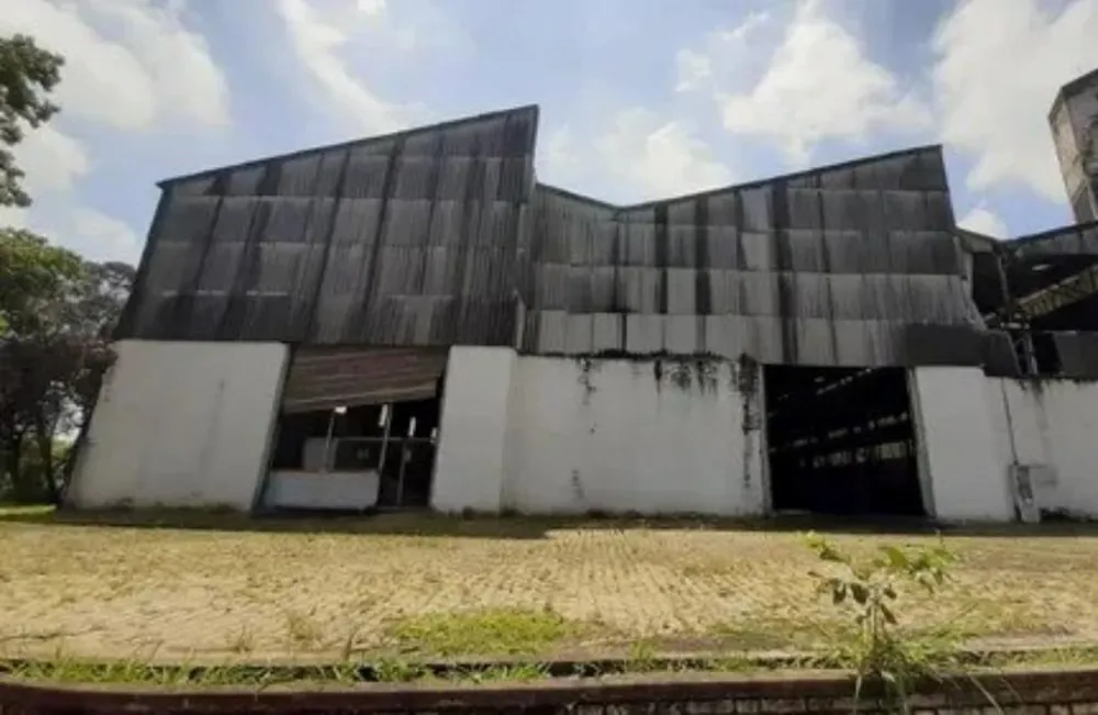 Prédio Inteiro, 5000 m² - Foto 11