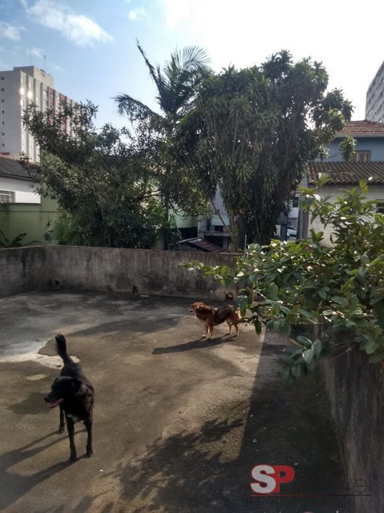 Casa, 2 quartos, 120 m² - Foto 4