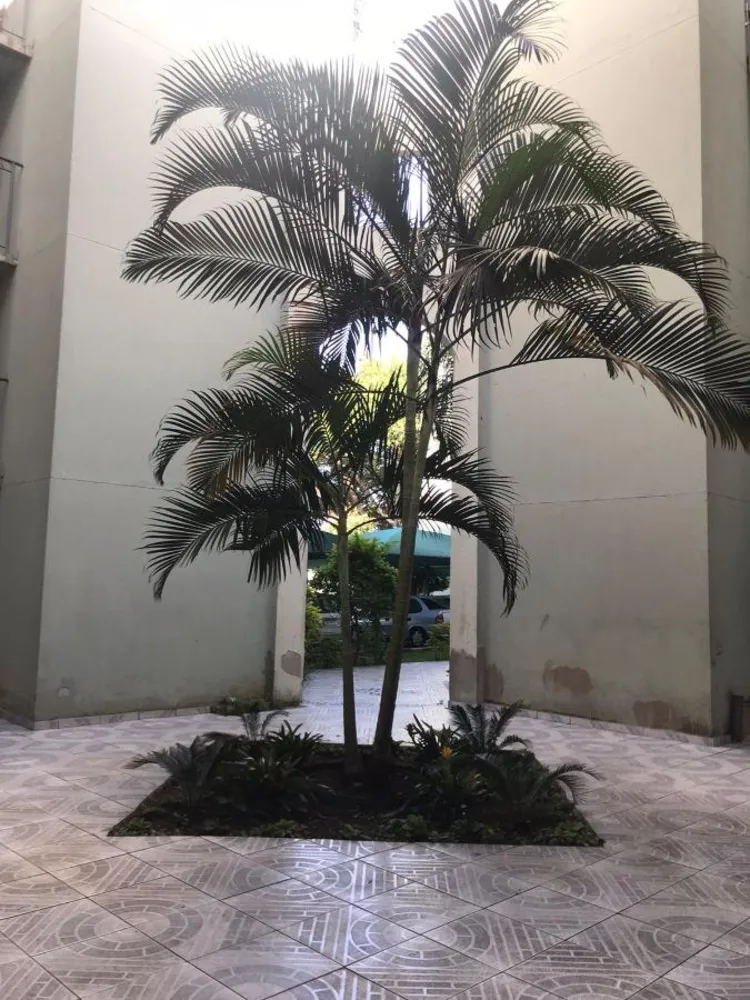Apartamento, 2 quartos, 49 m² - Foto 7