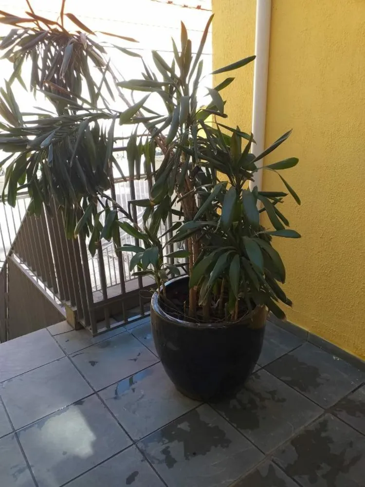 Casa, 2 quartos, 120 m² - Foto 5