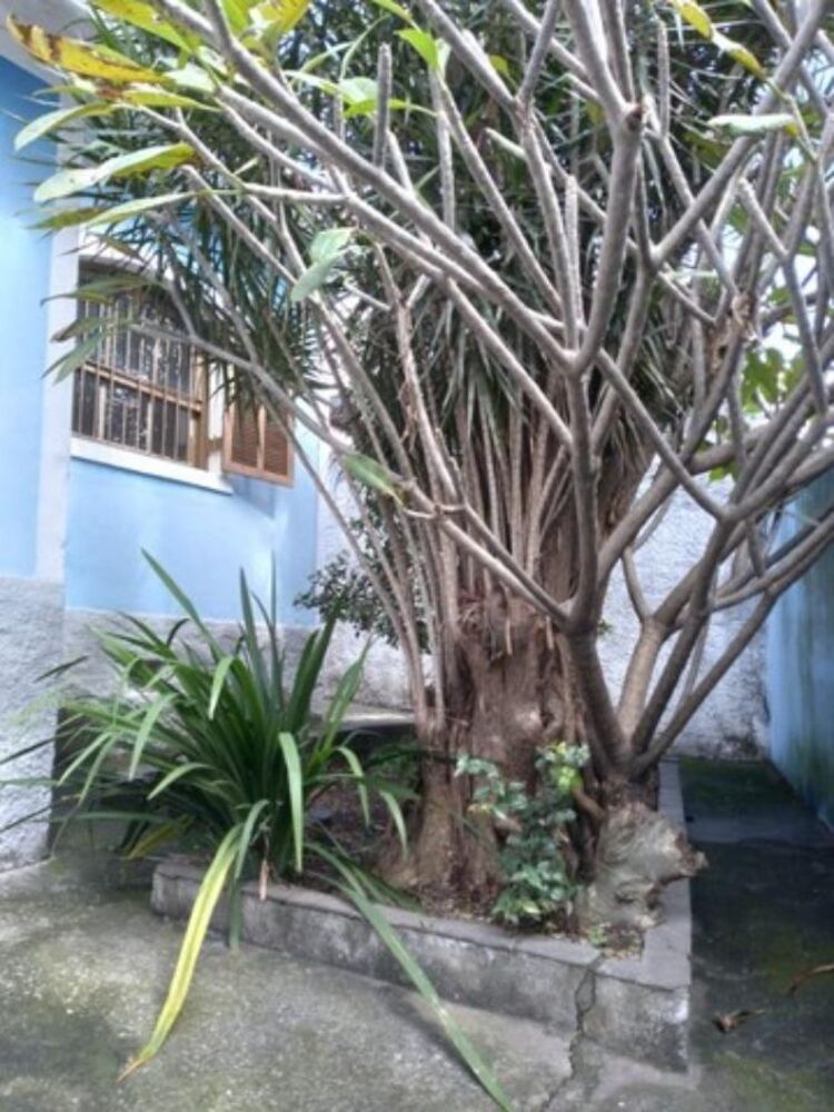 Casa, 4 quartos, 120 m² - Foto 7