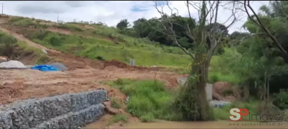 Terreno à venda com 1 quarto, 1000m² - Foto 3