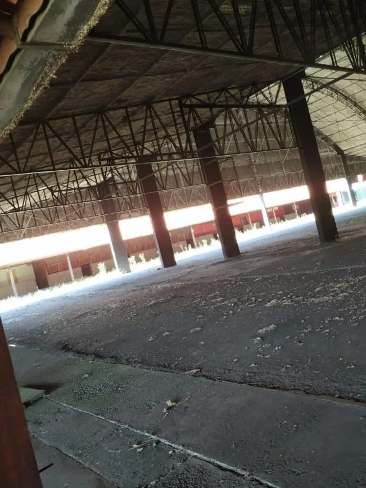 Prédio Inteiro, 5000 m² - Foto 16