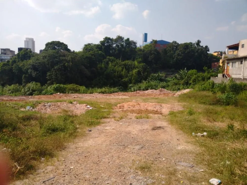 Terreno, 1 hectares - Foto 4