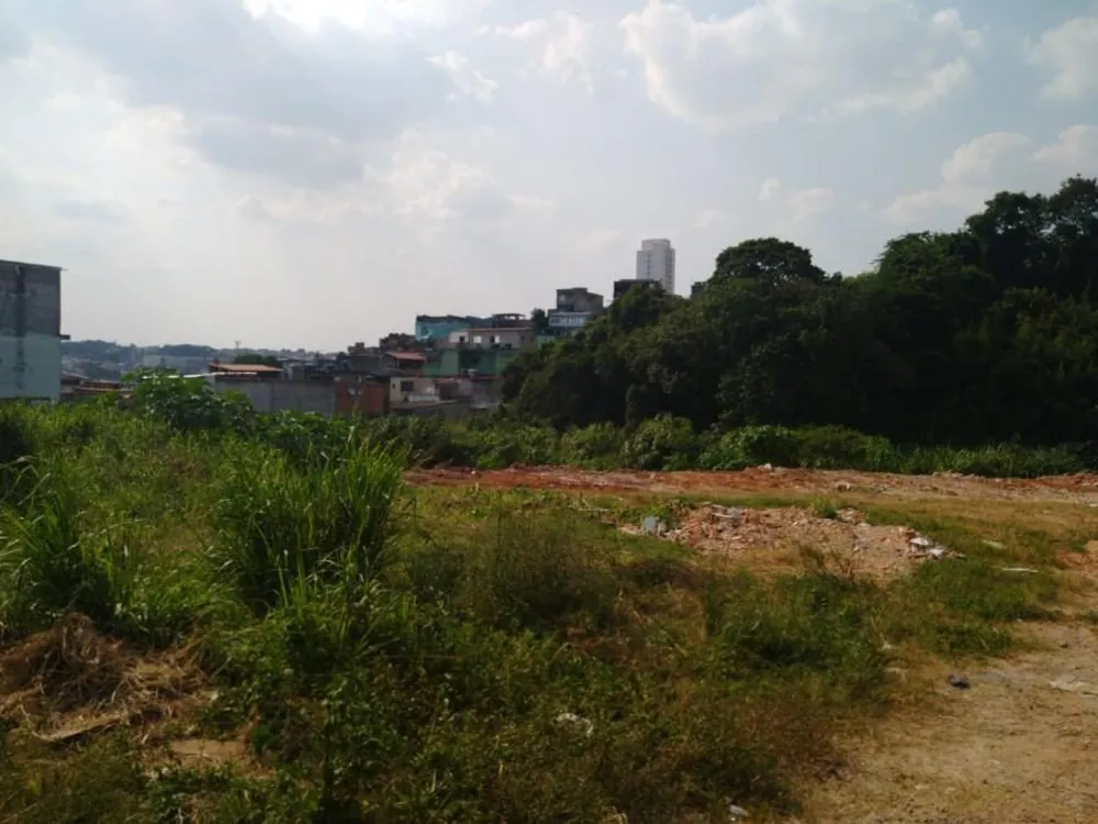 Terreno, 1 hectares - Foto 4
