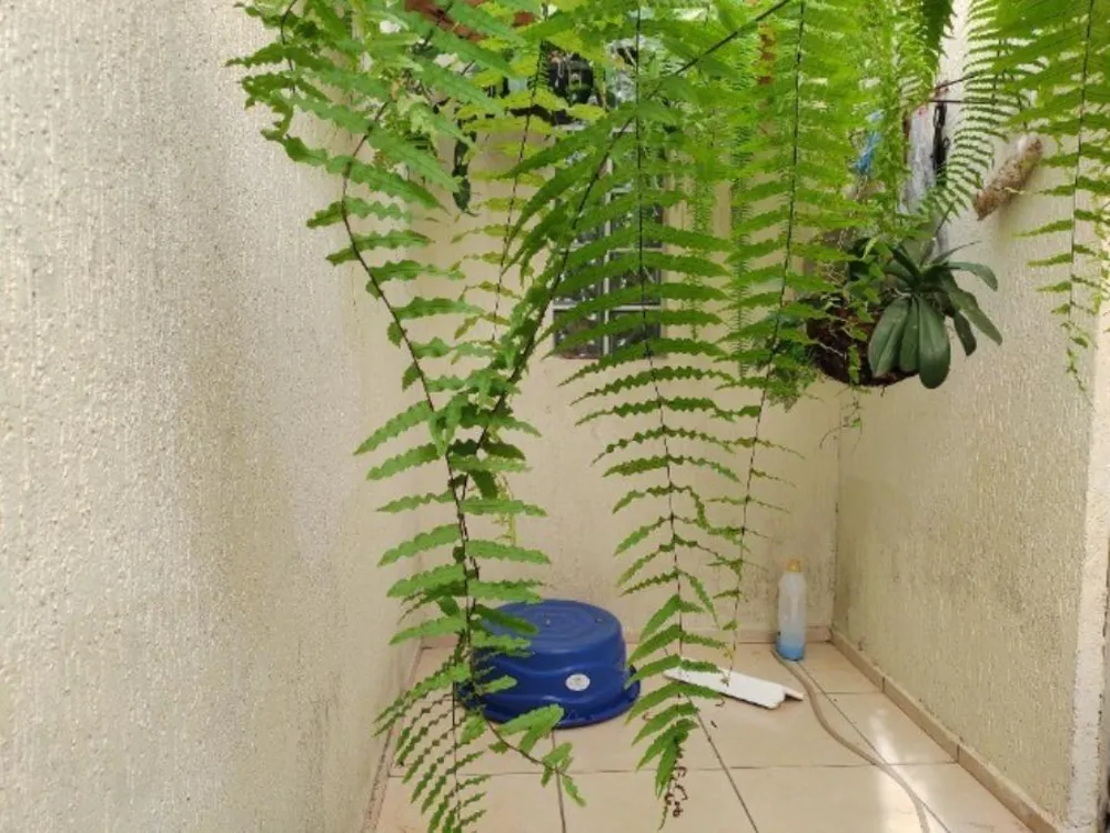 Sobrado, 4 quartos, 250 m² - Foto 13