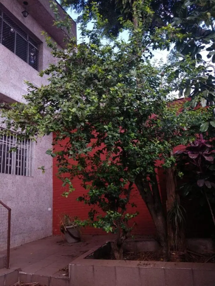Casa, 4 quartos, 120 m² - Foto 1