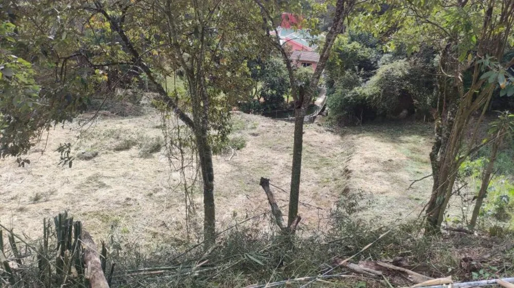 Terreno, 120 m² - Foto 4
