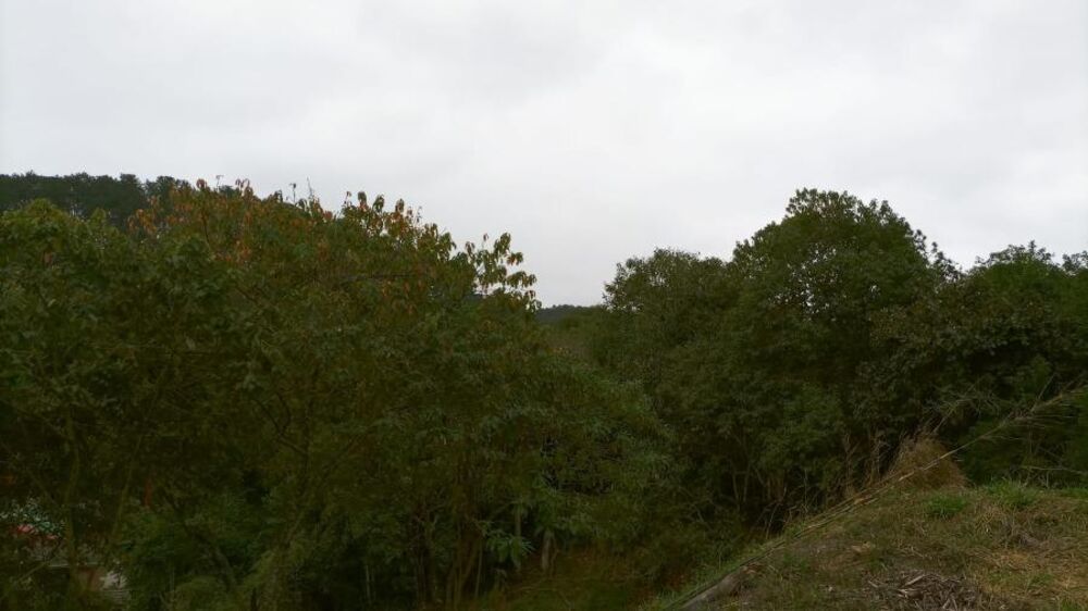 Terreno, 120 m² - Foto 1