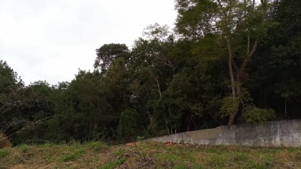 Terreno, 120 m² - Foto 9