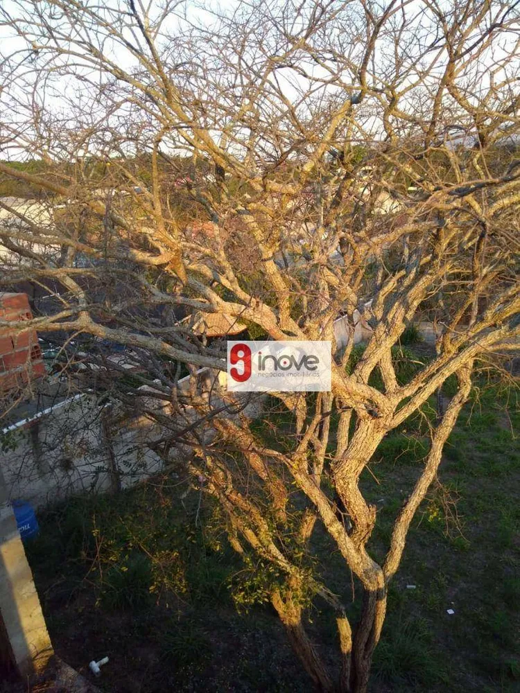 Casa, 3 quartos, 278 m² - Foto 7