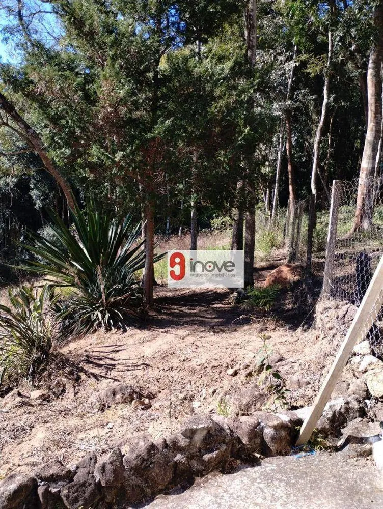 Terreno, 2 hectares - Foto 5