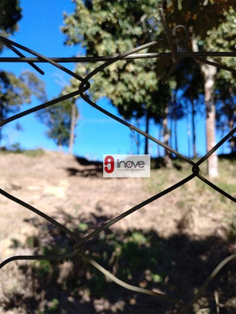 Terreno, 2 hectares - Foto 8