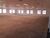 Sala-Conjunto, 609 m² - Foto 12