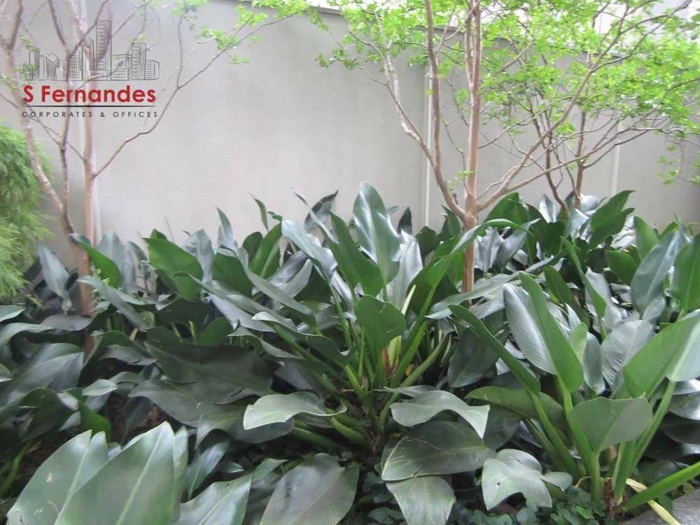 Sala-Conjunto, 34 m² - Foto 4