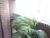 Sala-Conjunto, 60 m² - Foto 7