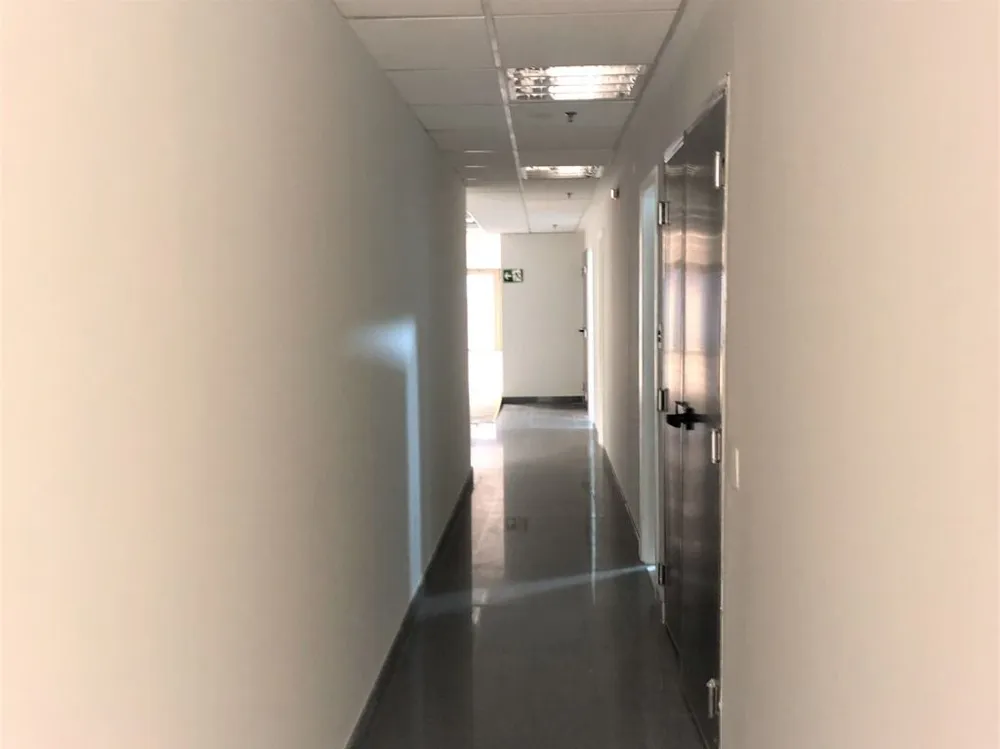 Sala-Conjunto, 792 m² - Foto 3
