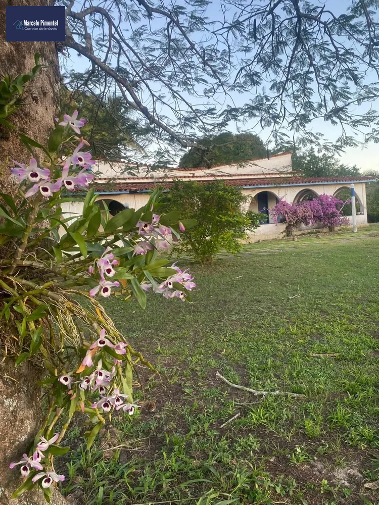 Sítio - Foto 1