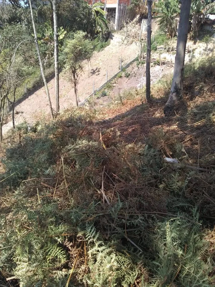 Terreno, 1070 m² - Foto 3