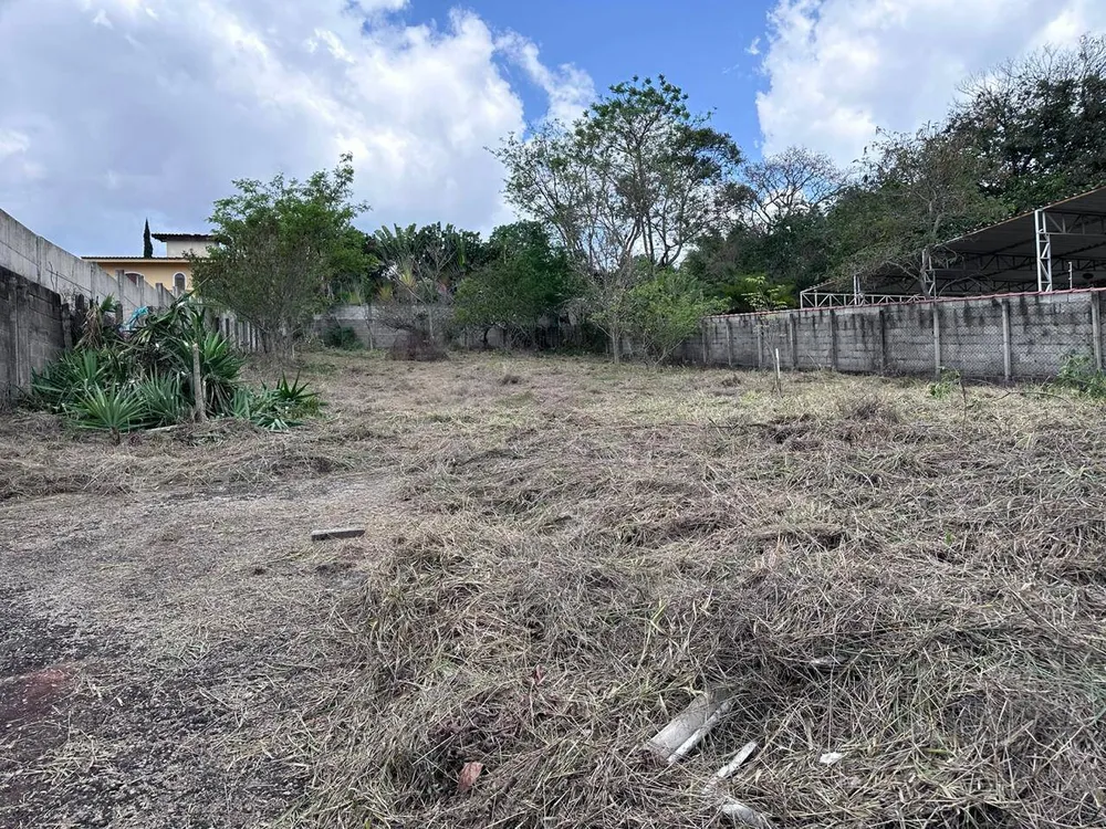 Terreno - Foto 8