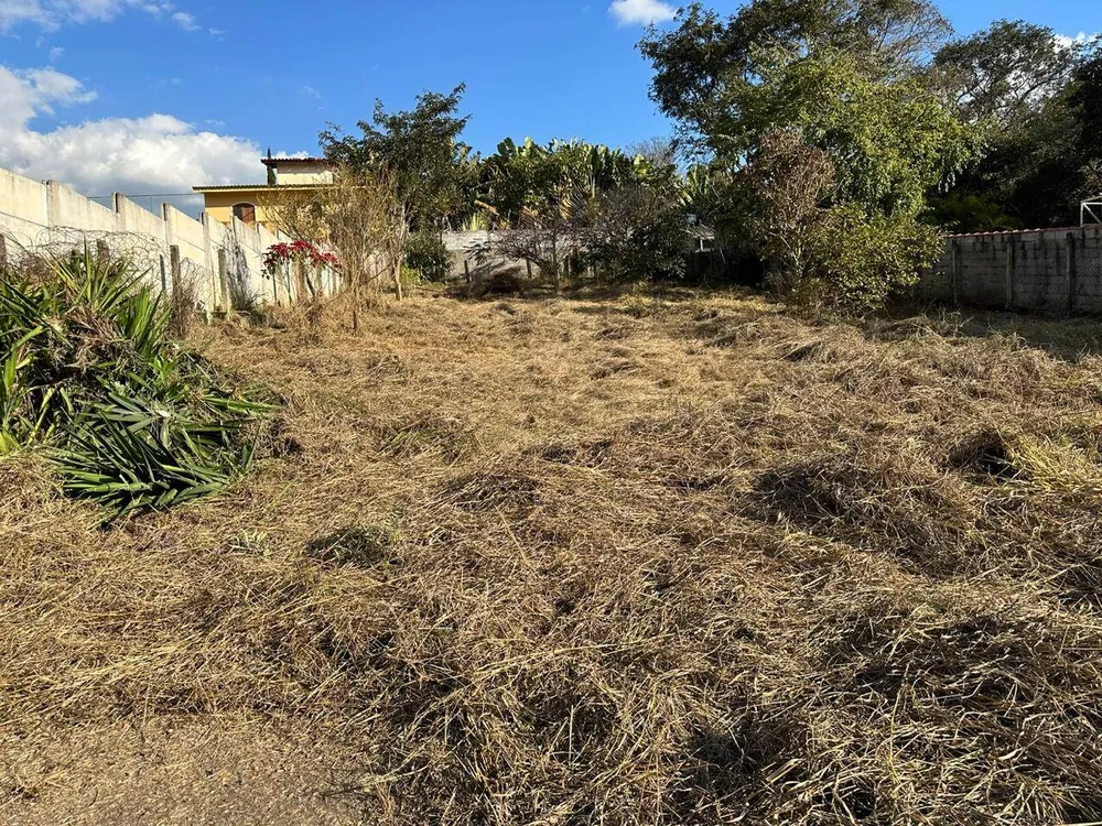 Terreno - Foto 5