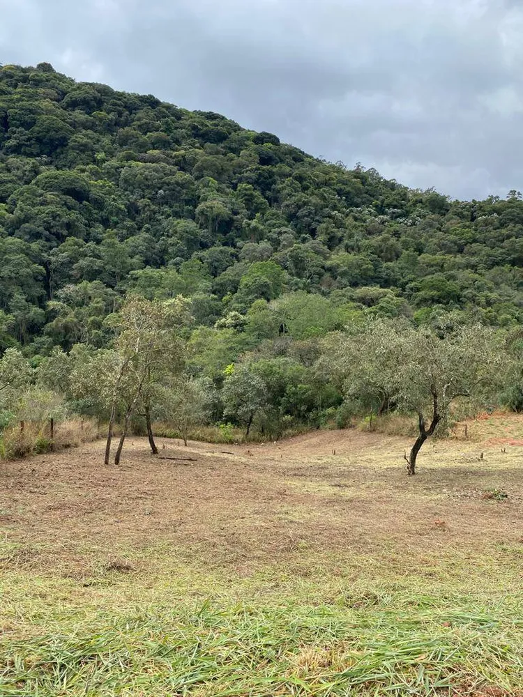 Terreno, 1017 m² - Foto 2