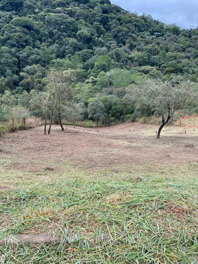 Terreno, 1017 m² - Foto 4