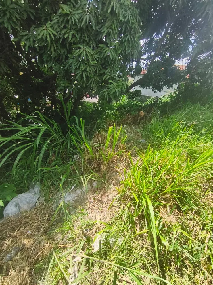 Terreno, 260 m² - Foto 5
