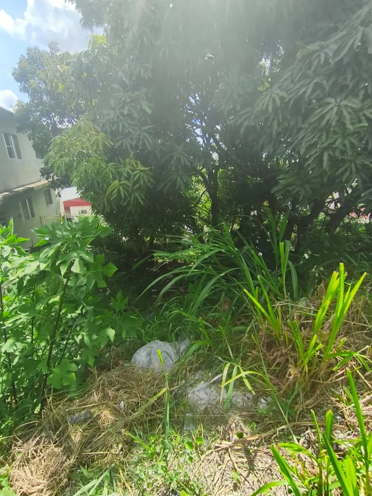 Terreno, 260 m² - Foto 6