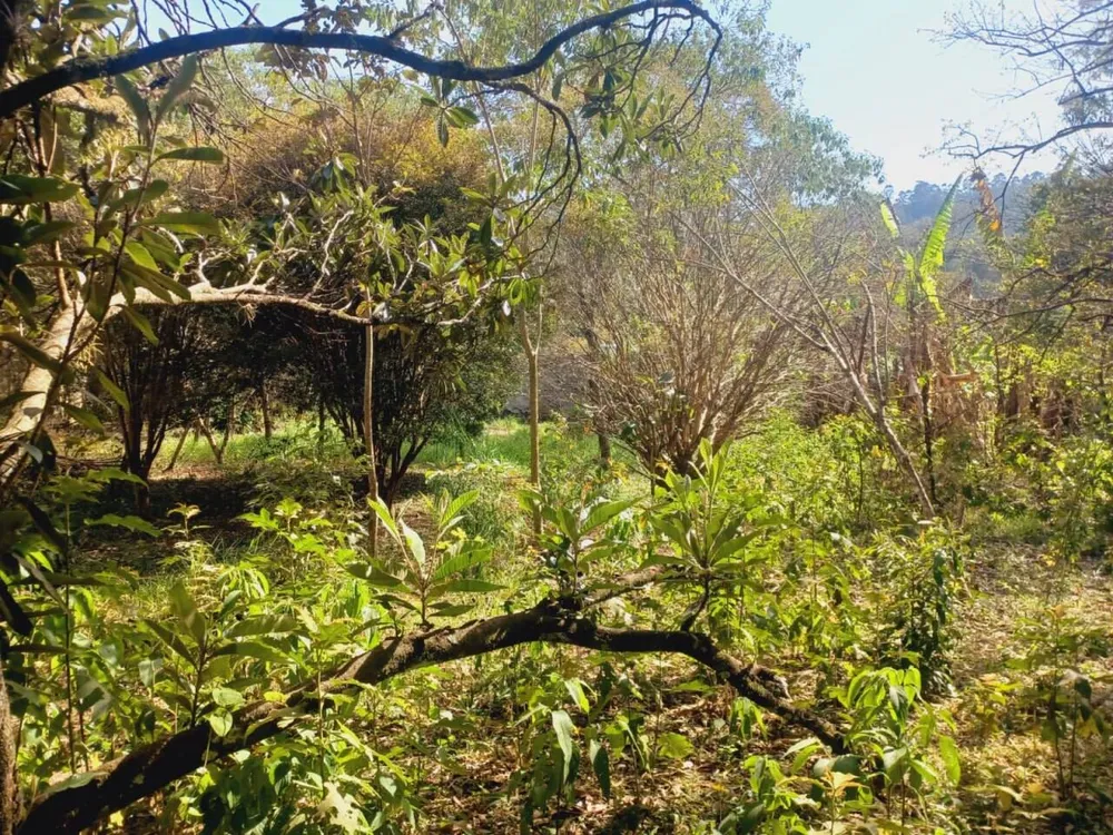 Terreno, 1870 m² - Foto 7