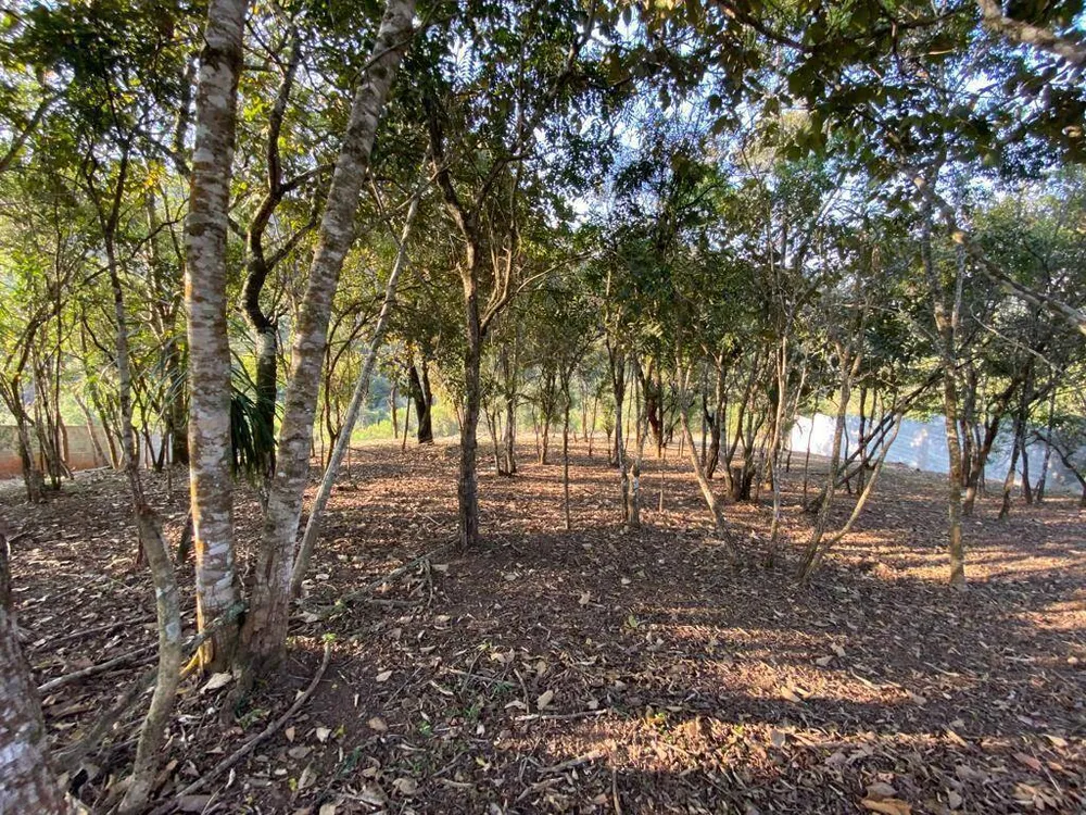 Terreno, 1023 m² - Foto 1