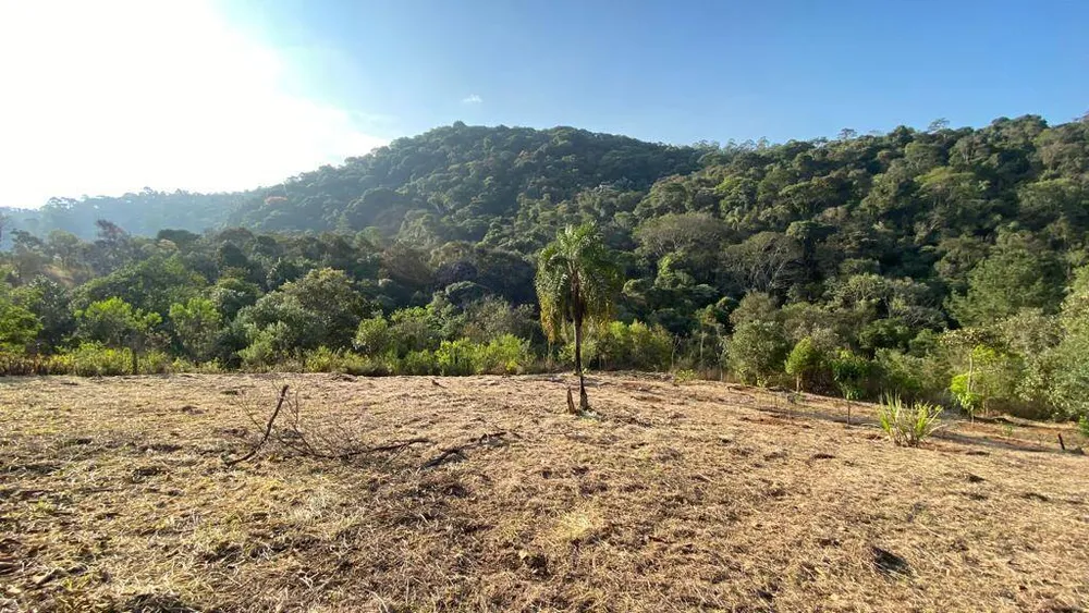 Terreno, 1023 m² - Foto 4
