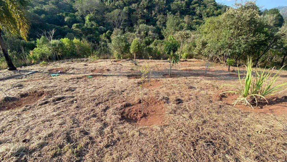 Terreno, 1023 m² - Foto 7