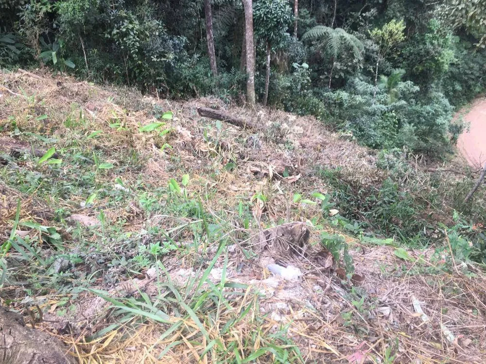 Terreno, 356 m² - Foto 3