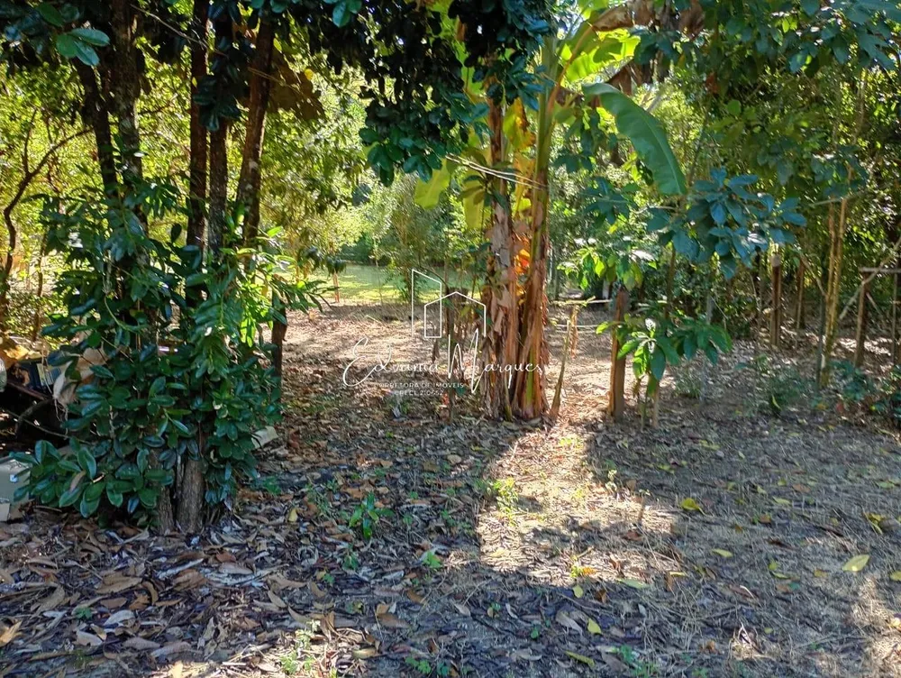 Chácara, 3 quartos, 1500 m² - Foto 7