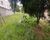 Terreno, 2572 m² - Foto 5