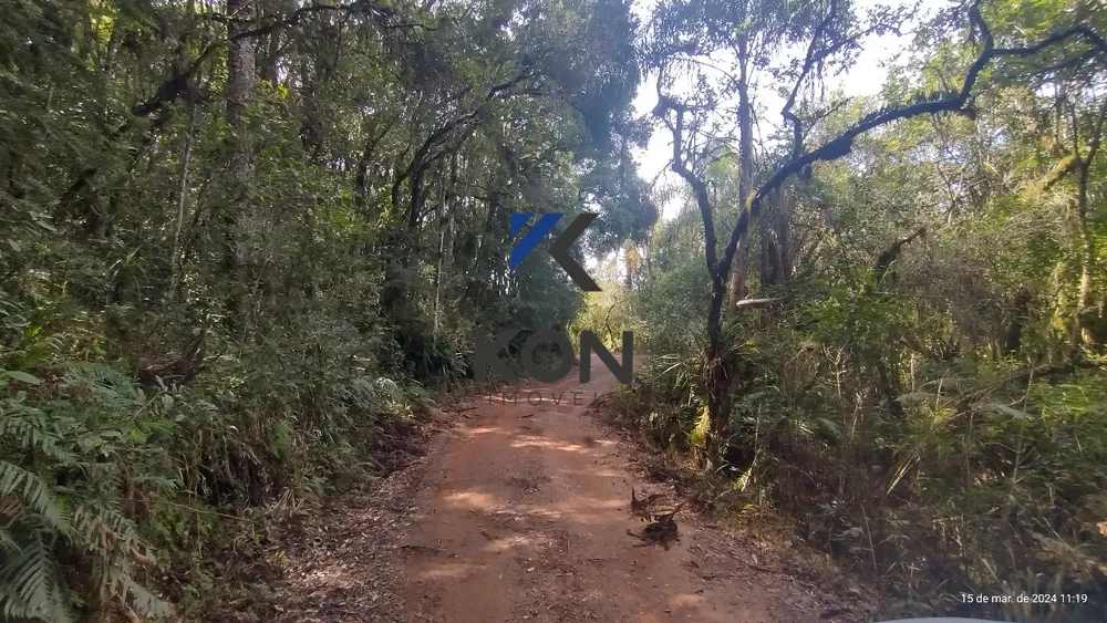 Chácara, 2 quartos, 2 hectares - Foto 13