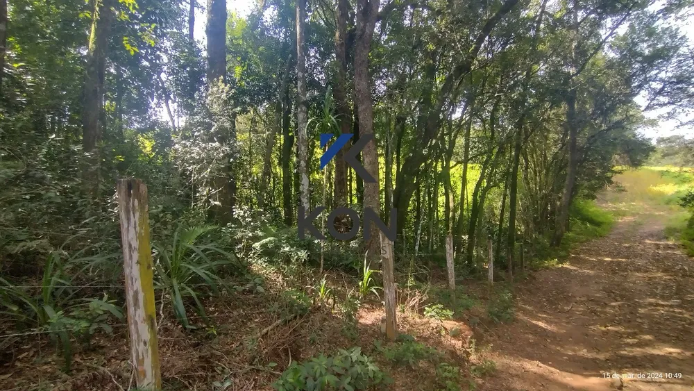 Chácara, 2 quartos, 2 hectares - Foto 12
