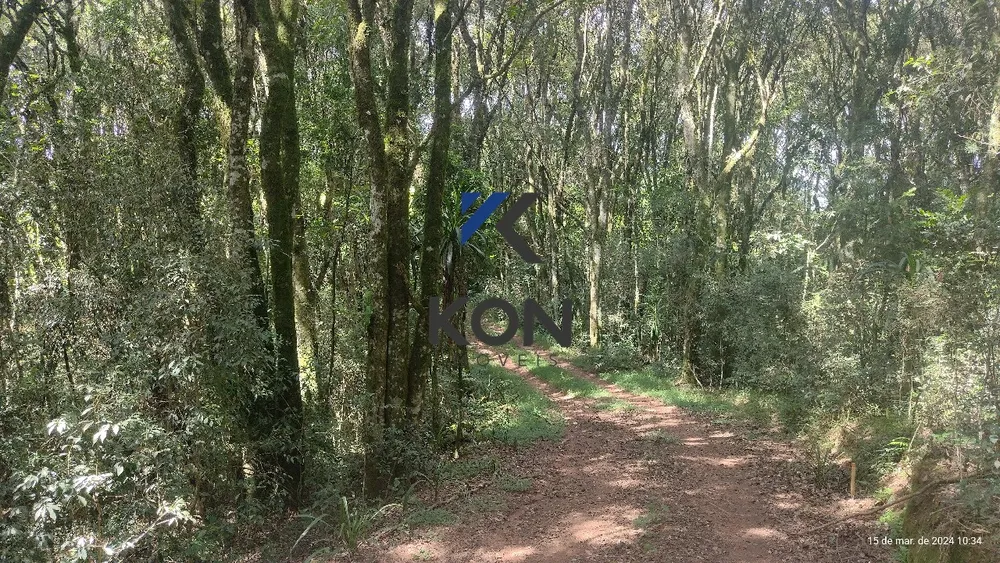 Chácara, 2 quartos, 2 hectares - Foto 10