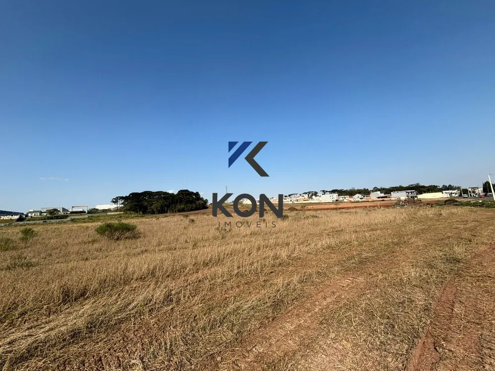 Loteamento e Condomínio, 5000 m² - Foto 3