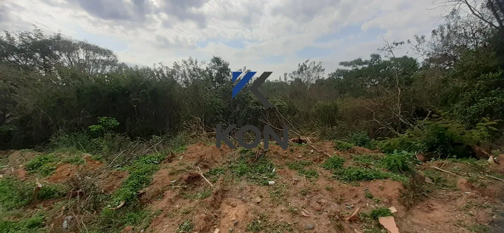Chácara, 1 hectares - Foto 14