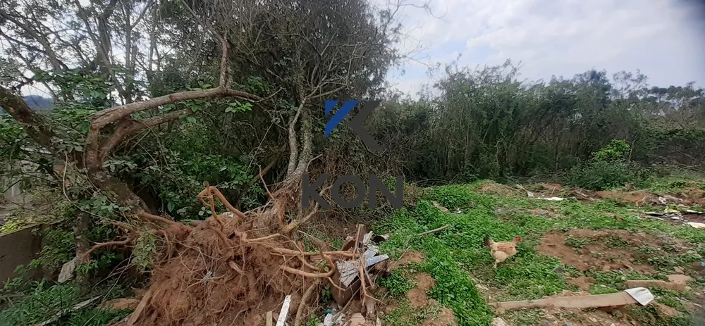 Chácara, 1 hectares - Foto 13
